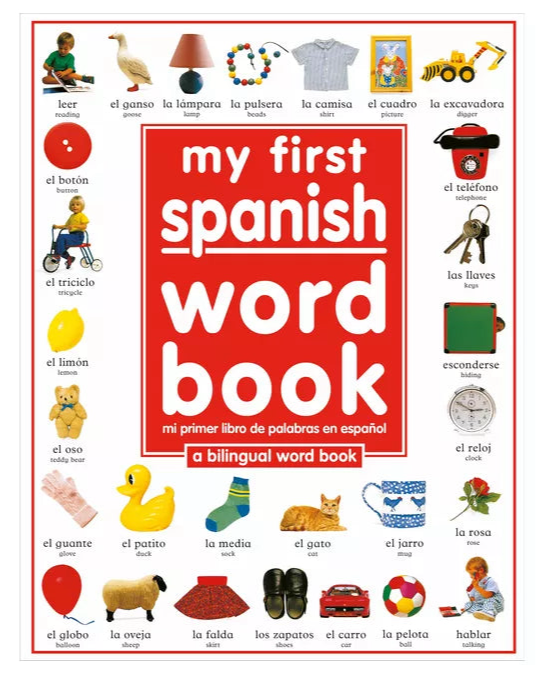 My 1st Spanish Book
