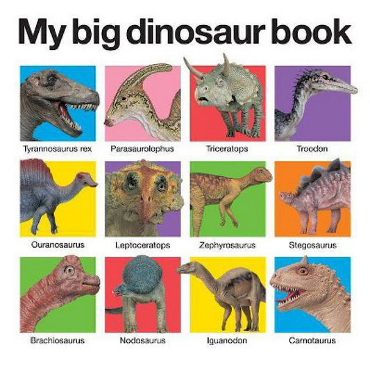 My Big Dinosaur Book