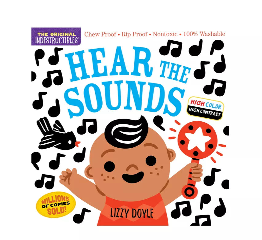 Libro Indestructible por Amy Pixton